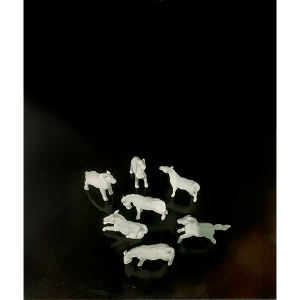 Julia Santa-Olalla. CABALLOS SOBRE NEGRO