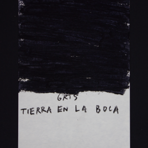 Paco Pérez Valencia. Gris tierra en la boca