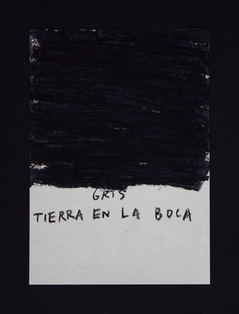 Paco Pérez Valencia. Gris tierra en la boca