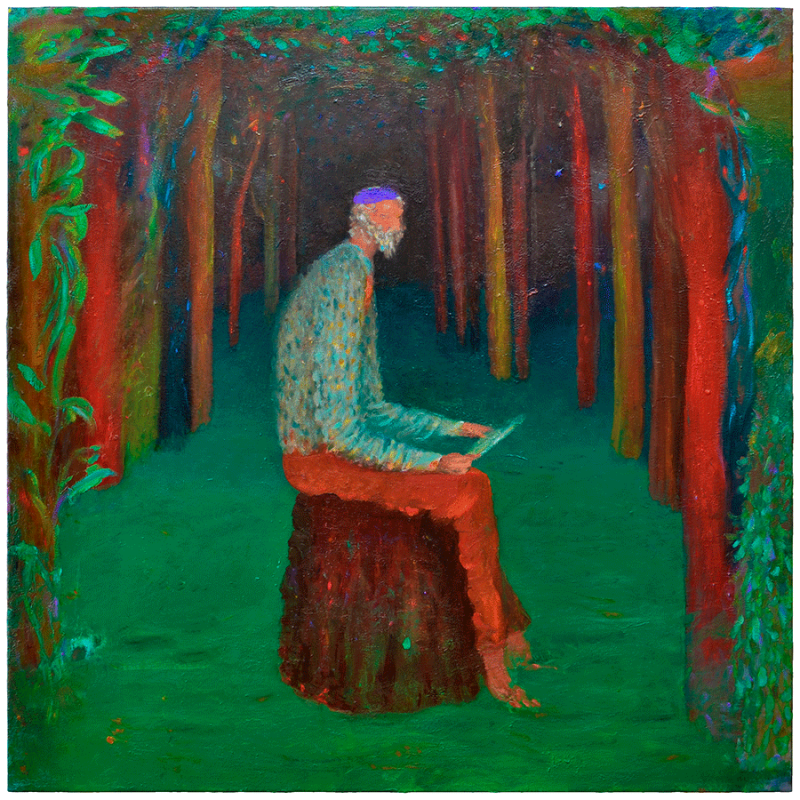 Abel García. Perdido silvestre