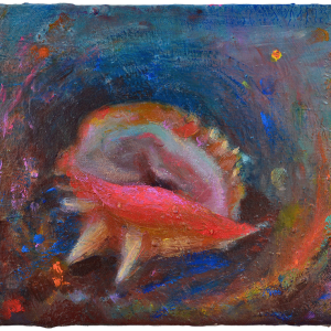 Abel García. Nautilo