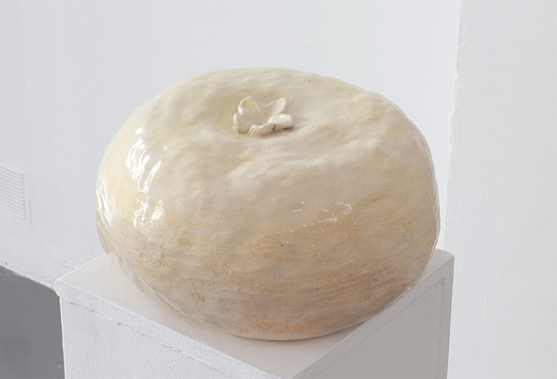 Rosa Aguilar.  Manzana I
