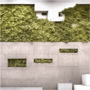 Dionisio González. AVIARIO DE WITTGENSTEIN, 07