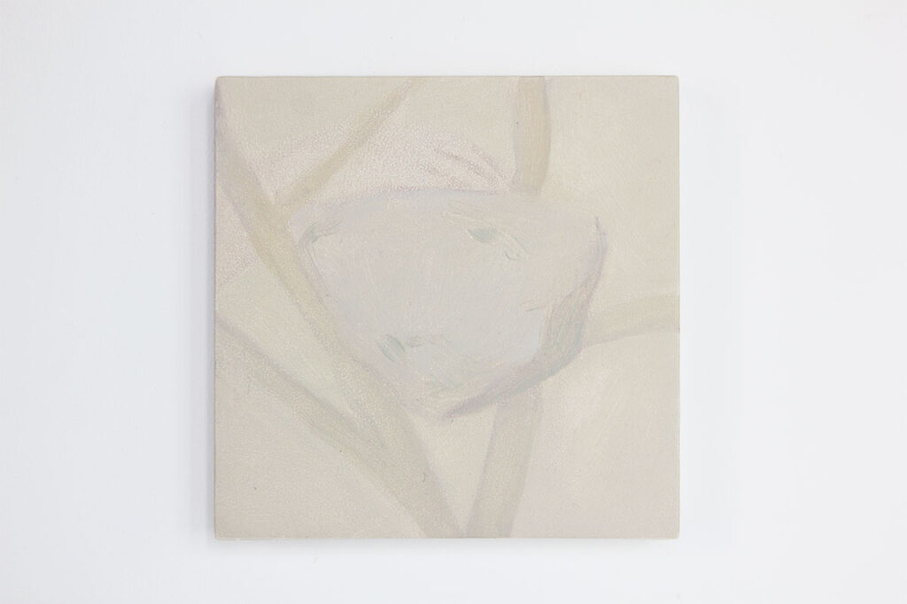 ROSA_AGUILAR_RA_FORMAYFUNCION_FYF_5